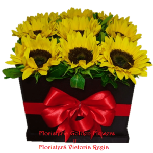Caja Girasol