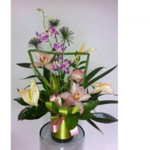 Orquideas