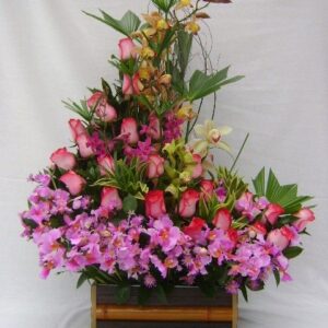 Orquideas